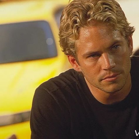 Meadow Walker, Brian Oconner, The Fast And The Furious, Actor Paul Walker, Fast And The Furious, Zak Bagans, Paul Walker Pictures, Furious Movie, Rip Paul Walker