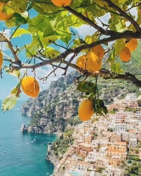 Descubre los vibrantes limones de Amalfi, Italia 🍋✨. Famosos por su tamaño, sabor y color brillante, estos limones son un símbolo de la costa amalfitana. Perfectos para refrescantes limonadas, delicias como el limoncello y mucho más. ¡Un verdadero tesoro mediterráneo! *** Discover the vibrant lemons of Amalfi, Italy 🍋✨. Famous for their size, flavor, and bright color, these lemons are a symbol of the Amalfi Coast. Perfect for refreshing lemonades, delights like limoncello, and much more. A ... Amalfi Coast Hotels, Amalfi Coast Itinerary, International Tourism, Positano Italy, Amalfi Coast Italy, Italy Aesthetic, المملكة العربية السعودية, Italian Summer, American Beauty