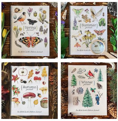 Homeschool Nature Study, Homeschool Nature, Charlotte Mason Homeschool, Nature Studies, Nature Journaling, Nature School, Homeschool Education, Homeschooling Ideas, Unit Studies