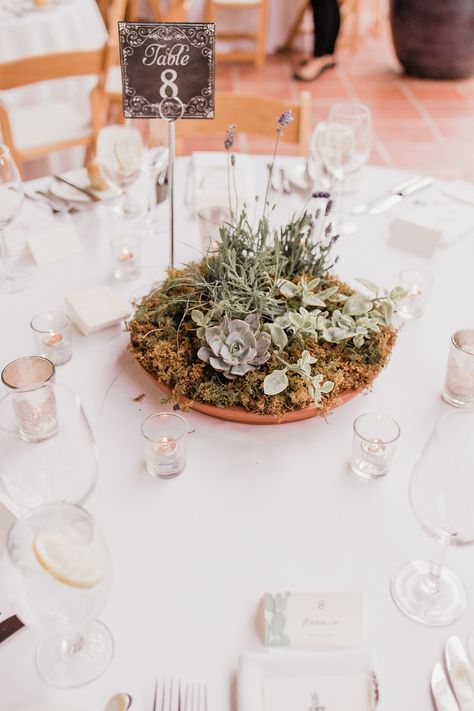 Wedding Anniversary Table Decorations, Anniversary Table Decorations, Outdoor Wedding Centerpieces, Lavender Farm Wedding, Succulent Wedding Centerpieces, Wedding Table Decorations Centerpieces, 45th Wedding Anniversary, Southwest Wedding, Succulent Centerpieces