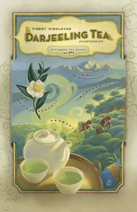 Finest Himalayan Darjeeling Green Tea Poster | Illustration Copyright © 2012 Scott Plumbe All Rights Reserved | Scott Plumbe Tea Poster, Tea Illustration, Darjeeling Tea, Green Teas, Tea Estate, Cuppa Tea, Poster Illustration, Botanical Illustrations, Darjeeling