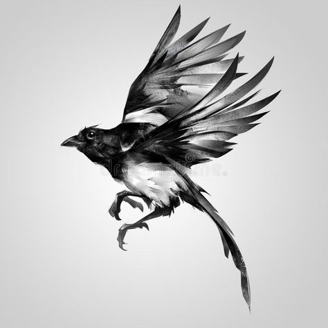 Flight Illustration, Magpie Tattoo, Magpie Art, Realistic Sketch, Birds Tattoo, Anime Tattoos, In Flight, Magpie, Crows