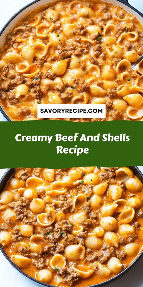 Satisfy your cravings with our Creamy Beef and Shells Recipe! This delightful meal features seasoned ground beef and pasta shells enveloped in a velvety sauce. Ideal for family dinners, this recipe is a delicious addition to your Ground Beef Recipes collection, promising comfort and flavor in every bite! Creamy Ground Beef And Shells, Creamy Beef And Shells Casserole, Cream Cheese And Beef Recipes, Shell Pasta Dinner, Easy Beef And Shells, Creamy Beefy Shells, Cheesy Beef Shells, Ground Beef Shells Recipes, Creamy Beef Shells Casserole