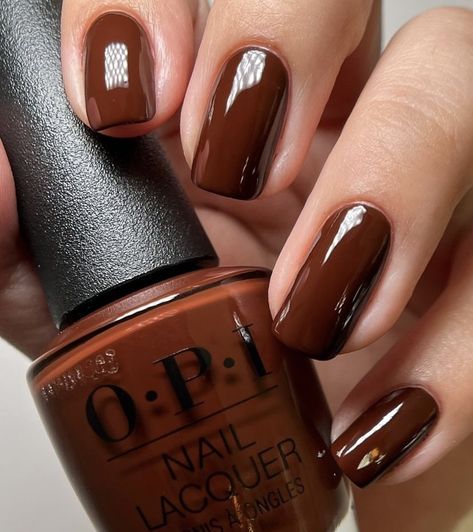 Cinnamon Brown Nails, Rust Acrylic Nails, Brown Dip Nail Colors, Dark Copper Nails, Brown Red Nail Polish, November Brown Nails, Rust Brown Nails, Fall 2024 Nails Color, Fall Nail Color Combos