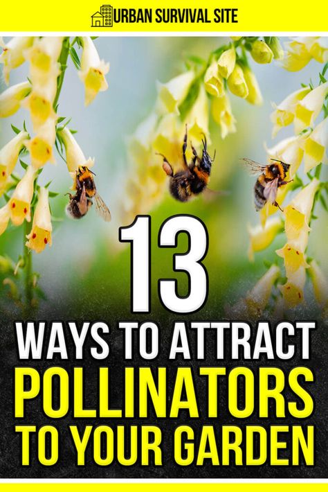 Pollinators like bees, butterflies, and other flying insects, are essential to a healthy garden. Here's how to attract them to your garden. How To Attract Bees To Your Garden, Pollinator Garden Plans, Bee Attracting Flowers, Honey Bee Garden, Homestead Style, Million Flowers, Types Of Bees, Garden Goals, List Of Flowers