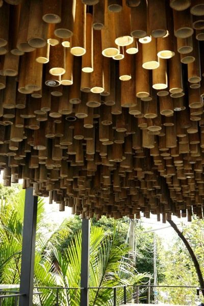 Ceiling Accent, Bamboo Diy, Bamboo Building, Bamboo Ceiling, Bamboo Structure, Bamboo Architecture, Bamboo Decor, Bamboo Construction, Bamboo Light