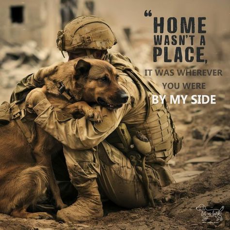 Dog Soldiers, Army Dogs, Dog Hero, Military Working Dogs, Military Dog, Malinois Dog, German Shorthair, Military Dogs, A Soldier