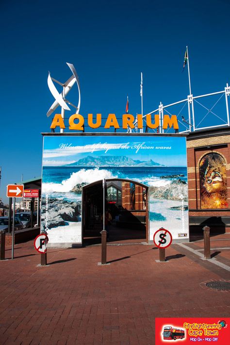 Two Oceans Aquarium   http://www.citysightseeing.co.za/Two-Oceans-Aquarium Two Oceans Aquarium Cape Town, Ocean Aquarium, V&a Waterfront, Travel Website, Creative Life, Cape Town, The New York Times, Trip Advisor, Cape