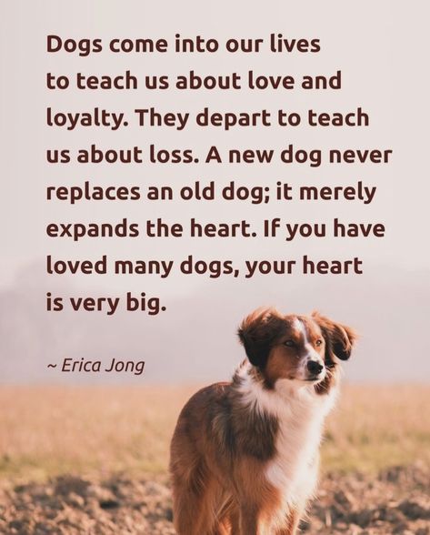 Dogs Quotes Love, Dog Loyalty Quotes, Dog Love Quotes, Frenchie Bulldog Puppy, Puppies Names Female, Cute Pet Names, Dog Names Unique, Dogs Quotes, Pets Stuff