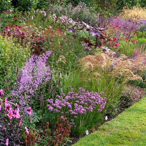 Boarder Plants, Cottage Garden Borders, Border Garden, Growing Dahlias, Garden Border, Garden Inspo, Herbaceous Border, Perennial Border, Cottage Garden Design