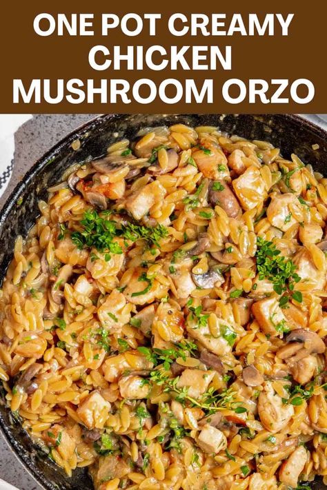 Creamy and rich, this One-Pot Chicken Mushroom Orzo is a simple but satisfying dinner. Quick and delicious, this meal is ideal for busy weeknights. It features tender chicken, earthy mushrooms, and a hearty and creamy Parmesan sauce. Ready in just 45 minutes, this dish is sure to become an instant family favorite! Chicken Orzo Dutch Oven, Shrimp Mushroom Orzo Recipes, Chicken Mushroom Orzo Recipes, Mushroom Orzo Risotto, Chicken Mushroom Rice Recipes, Chicken And Mushroom Orzo, Chicken Mushroom Orzo, Chicken Mushroom Risotto, Stovetop Recipes