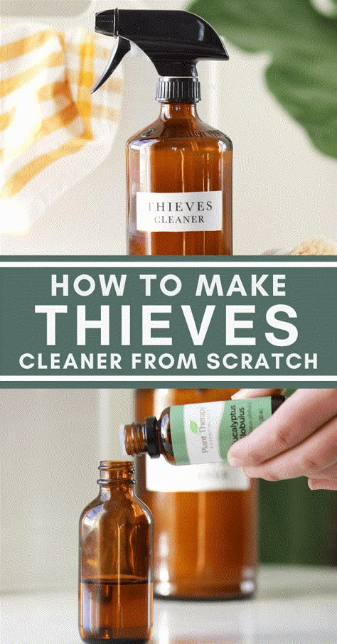 This thieves cleaner recipe uses castile soap and several essential oils to make your own natural multi-purpose cleaning spray from scratch. You don't need to buy thieves oil to make this spray. You can make your own homemade essential oil blend using rosemary, eucalyptus, clove, orange and cinnamon oils that works just as well as the pricier, premade thieves concentrate. Thieves Cleaner Recipe, Diy Thieves, Using Rosemary, Roller Bottle Labels, Orange And Cinnamon, Thieves Oil, Thieves Cleaner, Thieves Household Cleaner, Homemade Cleaning Supplies