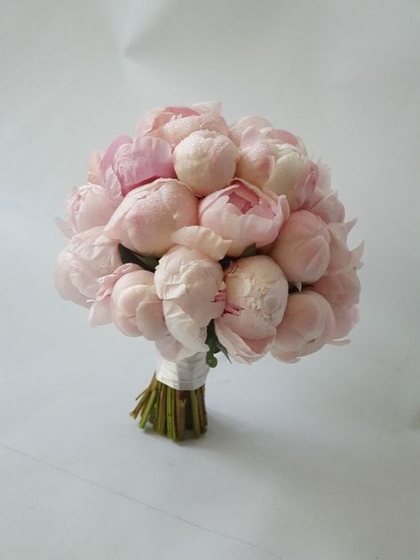 Peonies White Bouquet, Peony Bridal Bouquet Blush, Ranunculus And Peony Bouquet, Peony Wedding Bouquet Spring, Ranunculus Bouquet Wedding, Pink Peony Bouquet Wedding, Pink Hydrangea Bouquet, Blush Peony Bouquet, Pink Peony Bouquet