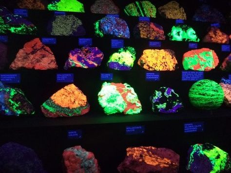 Fluorescent Rocks of Sterling Hill Mine – Ogdensburg, New Jersey - Atlas Obscura Glow Rock, Minerals Museum, Field Museum, All The Small Things, Unusual Things, Rare Stone, Glow Sticks, Rock Collection, Minerals And Gemstones