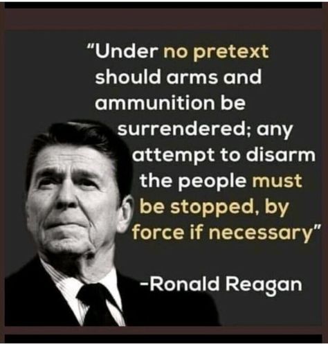 Reagan Quotes, Founding Fathers Quotes, Ronald Reagan Quotes, Patriotic Quotes, Freedom Quotes, Historical Quotes, Father Quotes, Warrior Quotes, Ronald Reagan