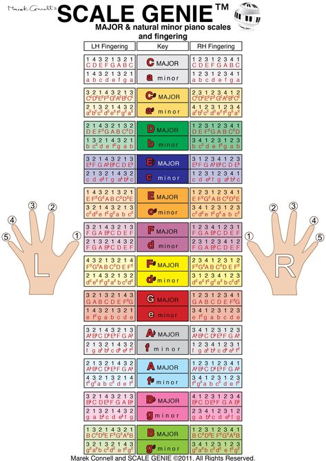 Music Theory Piano, Beginner Piano Music, Piano Scales, Piano Learning, Piano Music Easy, Piano Chords Chart, Piano Notes Songs, Music Theory Lessons, Learning Piano