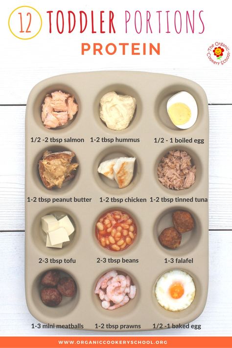 Toddler Portion Sizes – Ideas and Strategies to Ensure Your Toddler’s Diet is Balanced and Varied. — The Organic Cookery School Toddler Protein Ideas, Protein Ideas, Food Types, Calcium Rich Foods, Baby Led Weaning Recipes, Recipe Example, Weaning Recipes, Portion Sizes, Everything Changes