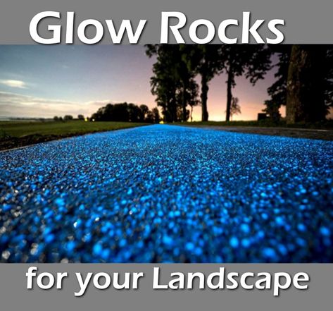 New! in 2020 a way to light up a pathway in your yard by using glow-in-the-dark pebbles.  Highlight your garden or landscape and make a runway of glowing rocks after the sun goes down.  Take a further look into this new idea! Glowing Rocks, Pebble Landscaping, Rock Pathway, Glow Rock, Landscape Glass, Solar Path Lights, Unique Garden Decor, Solar Landscape, Glass Fire Pit