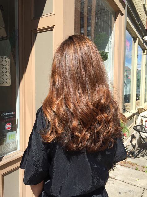 Honey Brown Hair, Hair Color Light Brown, Brown Hair Balayage, Hair Inspo Color, Hair Envy, Light Brown Hair, Brown Hair Colors, Brunette Hair, Ombre Hair