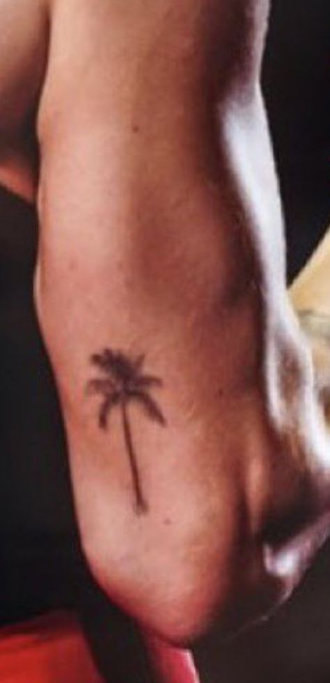 Harry Styles Palm Tree Tattoo, Palm Tattoos, Palm Tree Tattoo, Tree Tattoo, Tattoo Inspo, Maple Leaf Tattoo, Palm Tree, Palm Trees, Harry Styles