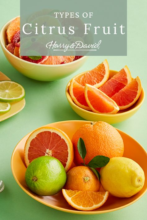 Love trying new types of citrus fruit? Find out what we think is the best citrus fruit. Have fun trying some different types of citruses. Harry & David, The Giving Tree, Ripe Fruit, Gold Nugget, Delicious Fruit, Orange Zest, Citrus Fruit, Fruit Recipes, Recipe Using