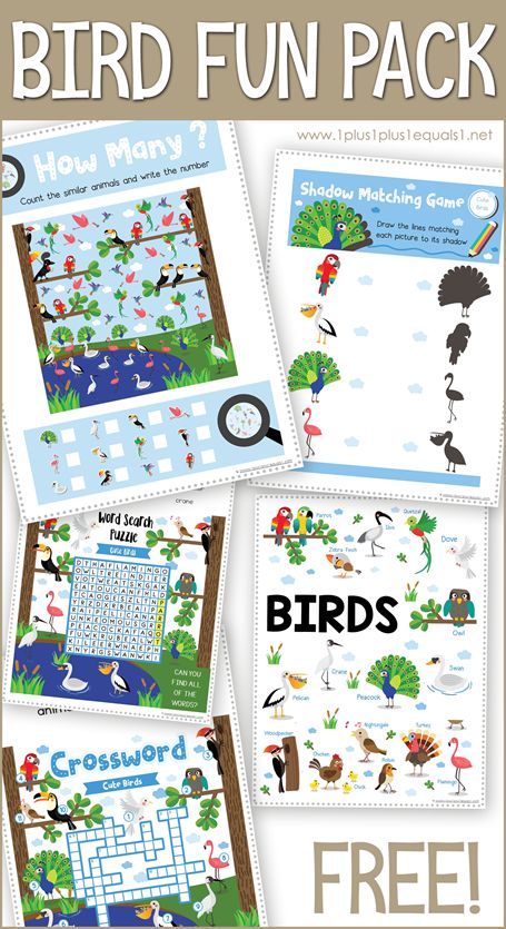 Free Bird Printables, great for Tot School, Preschool, Kindergarten and beyond! Matching, I Spy, Crossword, and Word Search. #1plus1plus1  #homeschool #homeschooling #freeprintablesforkids #kidsactivities #kidsprintables #earlychildhood #kindergarten #kindergartenworksheets #totschool #preschool #preschoolers Free Bird Printables, Bird Printables, Curriculum Planner, Free Educational Printables, Teaching Printables, Free Preschool Printables, Nature School, Homeschool Classroom, Free Bird