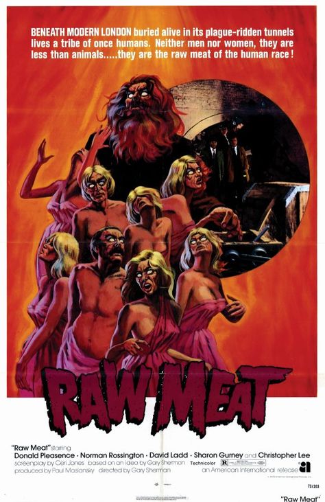 Raw Meat Donald Pleasence, Cinema Design, Raw Meat, Horror Posters, Classic Horror Movies, Cinema Posters, Horror Movie Posters, Movies 2019, Vintage Horror