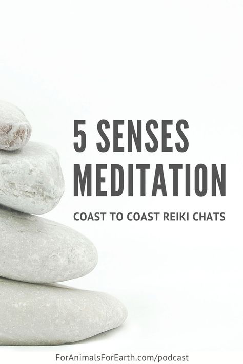 Meditation can be as simple as tuning into each of our 5 senses. In this simple guided meditation, we lead you through a 15 minute practice that calms the mind, body, and spirit. Perfect for the middle of a hectic day. #fivesenses #5senses #meditation #simple meditation #quick meditation Calm My Mind, Metta Meditation, Learn How To Meditate, Simple Meditation, Minute Meditation, What Is Meditation, Quick Meditation, How To Meditate, 5 Senses