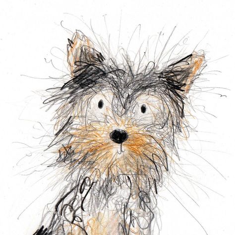 Catherine Rayner, Yorkie Painting, Yorkie Terrier, Scribble Art, Dog Sketch, 강아지 그림, Pets Drawing, Art Drawings Sketches Pencil, Yorkie Puppy