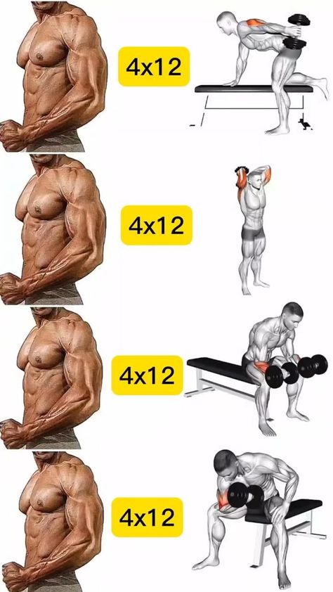 Full Arm Workout, Bodyweight Back Workout, Workout At Gym, Workout Gym Routine, Gym Workout Guide, Forearm Workout, Workout Program Gym, Trening Sztuk Walki, Best Gym Workout