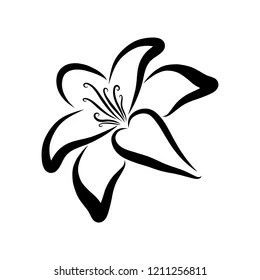 Lily Flower Logo, Black Lily Flower, Lily Flower Pattern, Sketch Flower, Lilies Drawing, Black Sketch, Dibujo Simple, Lily Tattoo, Flower Art Drawing