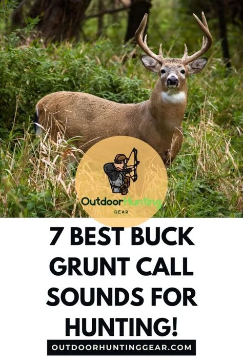 Top 5 Best Buck Grunt Call Sounds to Attract Big Deer - Outdoor Hunting Gear Deer Hunting Essentials, Tree Stand Hunting, Hunting Calls, Hunting Essentials, Whitetail Hunting, Whitetail Deer Hunting, Deer Calls, Big Deer, Deer Hunting Tips