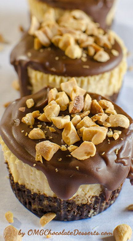 Mini Chocolate Peanut Butter Cheesecakes (peanut butter desserts, peanut butter recipes) Homemade Cheesecake Recipes, Chocolate Graham Cracker Crust, Peanut Butter Dessert Recipes, Dessert Mini, Chocolate Peanut Butter Cheesecake, Torte Cupcake, Chocolate Graham Crackers, Peanut Butter Desserts, Peanut Butter Cheesecake