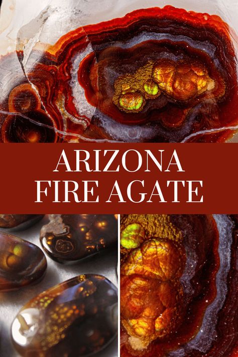 fire agate Agate Hunting, Arizona Rocks, Rock Tumbling, Agate Rocks, Arizona Vacation, Arizona Road Trip, Rock Hunting, Hunting Tips, Amber Fossils