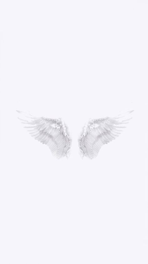 White wallpaper backgrounds for iPhone to download free White Astetic, Iphone New Wallpaper, White Iphone Wallpaper, Background Zepeto Room, Wallpaper Backgrounds For Iphone, White Wallpaper For Iphone, Wings Wallpaper, Backgrounds For Iphone, Wedding Card Frames