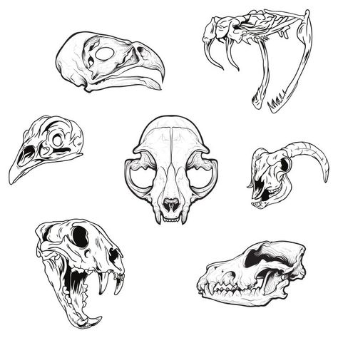 simple pack of animal skull line art Skulls Sketch, Animal Skull Tattoo, Animal Skull Drawing, Bone Drawing, Gotik Tattoo, Bored Ideas, Skull Animal, Simple Skull, Skull Sketch