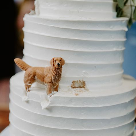 22 Cake, Pet Birthday Cake, Dog Wedding Cake Topper, Dog Wedding Cake, Dog Cake Topper Wedding, Biscuit Bar, Pet Birthday, 2 Dogs, Dog Wedding