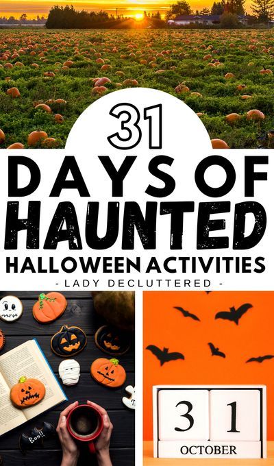 Halloween Activities For Adults, 30 Bucket List, Food Halloween Costumes, Simple Halloween Decor, Lady Decluttered, Fun Halloween Activities, Minimalist Halloween, Bucket List Ideas, Halloween Sweets