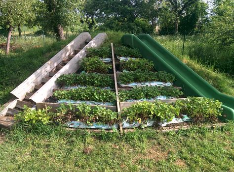 a slide built into the hill with strawberries planted in the middle Build Slide Into Hill, Bench Built Into Hillside, Backyard Water Fun, Montessori Garden, Child Friendly Garden, Kid Friendly Backyard, Sloped Backyard Landscaping, Landscaping On A Hill, Sloped Yard