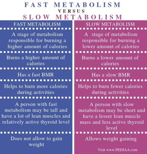 What is the Difference Between Fast and Slow Metabolism Check more at https://in4arts.com/what-is-the-difference-between-fast-and-slow-metabolism.html Thyroid Levels, Basal Metabolic Rate, Fast And Slow, Slow Metabolism, Lean Muscle Mass, Fast Metabolism, What Is The Difference Between, Muscle Tissue, Lean Muscle