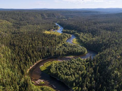 Taiga Forest, Sunny Summer Day, Agricultural Land, Boreal Forest, Beautiful Forest, Forest Fire, Ancient Cultures, Summer Day, Aerial View