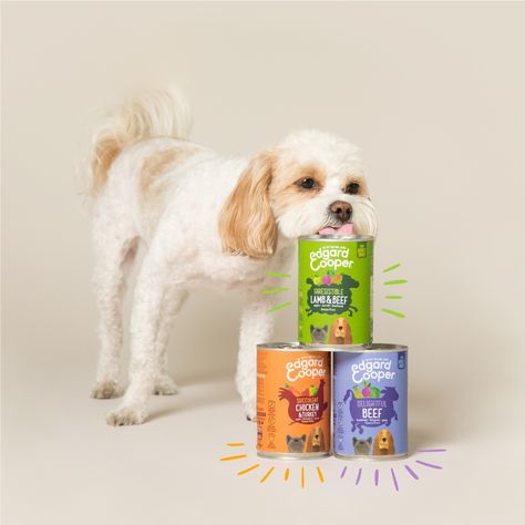 Pet Advertising, Pet Food Packaging, Wow Photo, Canned Dog Food, Wet Dog, Dog Branding, Pet Shampoo, Wet Dog Food, Pet Style