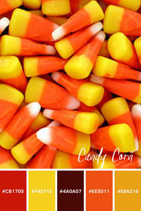 Candy Corn palette Candy Corn Color Palette, Persona Moodboard, Palette Autumn, Chunky Yarn Blanket, Yarn Blanket, Color Schemes Colour Palettes, Fall Color Palette, Coloring Apps, Paint And Sip