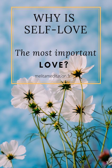 Article About Self Love, Learning Quotes Education, Self Education, Love Articles, Kakashi Sensei, Learning Quotes, Naruto Kakashi, Women Encouragement, Love Others