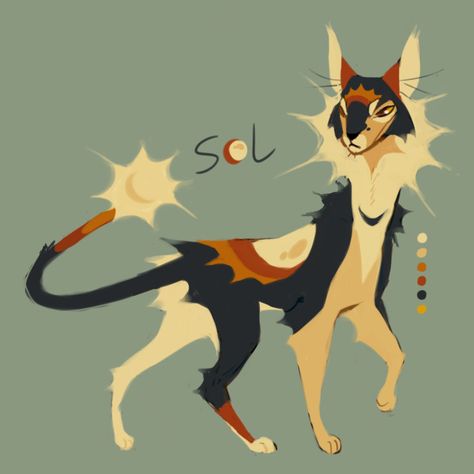 Sol Warrior Cats Art, Warrior Cats Fanart, Warrior Cats Shadowsight, Mothwing Warrior Cats, Warriors Fanart, Warrior Cats Hollyleaf Lionblaze And Jayfeather, Warrior Cats Thunderclan, Warrior Cats Series, Warrior Cats Books