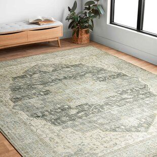 Bloomsbury Market Appy Power Loom Charcoal/Green Rug | Wayfair Neutral Rug With Pop Of Color, Elevated Neutrals, Alexander Home, Chic Area Rug, Cream Area Rug, Rug Brown, Rug Blue, Green Area Rugs, Black Rug