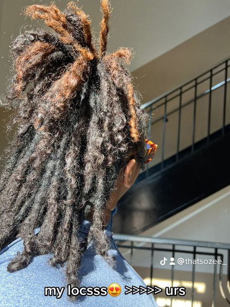 Brown And Black Locs Black Women, Loc Curly Ends, Instant Locs Curly Ends, Fluffy Locs With Curly Ends, Locs With Curly Ends Black Women, Starter Locs Curly Ends, Instant Locs With Curly Ends, Brown Dreads Black Women, Curly Ends Locs