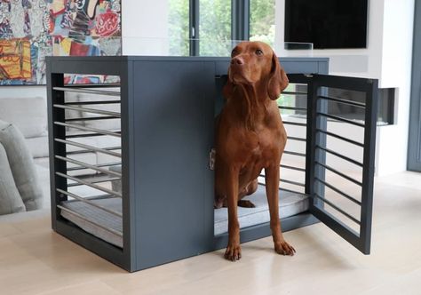 Best Dog Crate Furniture of 2022 | Great Pet Care Mutt Dog, Crate Cover, Dog Crate Furniture, Pet Sofa, Architectural Pieces, Modern Dog, Dog Furniture, Luxury Dog, Beloved Dog