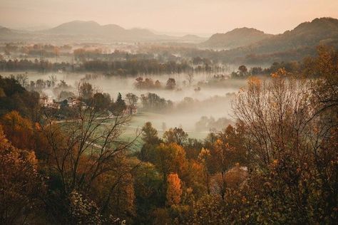 1940s England, Father Nature, Dreamy Scenery, Movie Vibes, Fall Movie, Fall Mood Board, Rockstar Gf, Nature Scenery, Over The Garden Wall