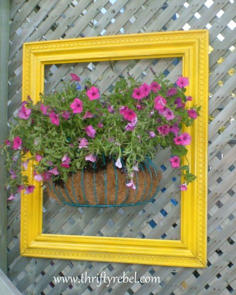 Idea Box, Painted Picture Frames, نباتات منزلية, Pallet Planter, Walled Garden, Garden Types, Garden Features, Wall Planter, Garden Cottage